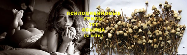 дмт Алексеевка