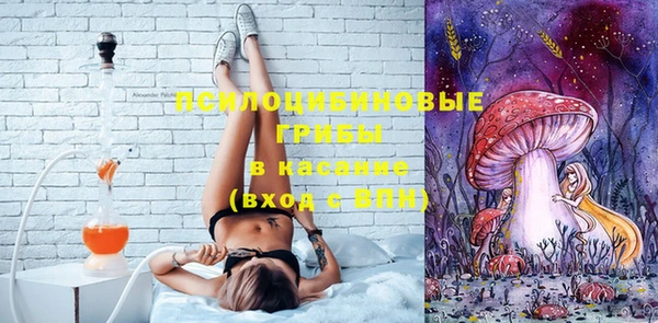дмт Алексеевка